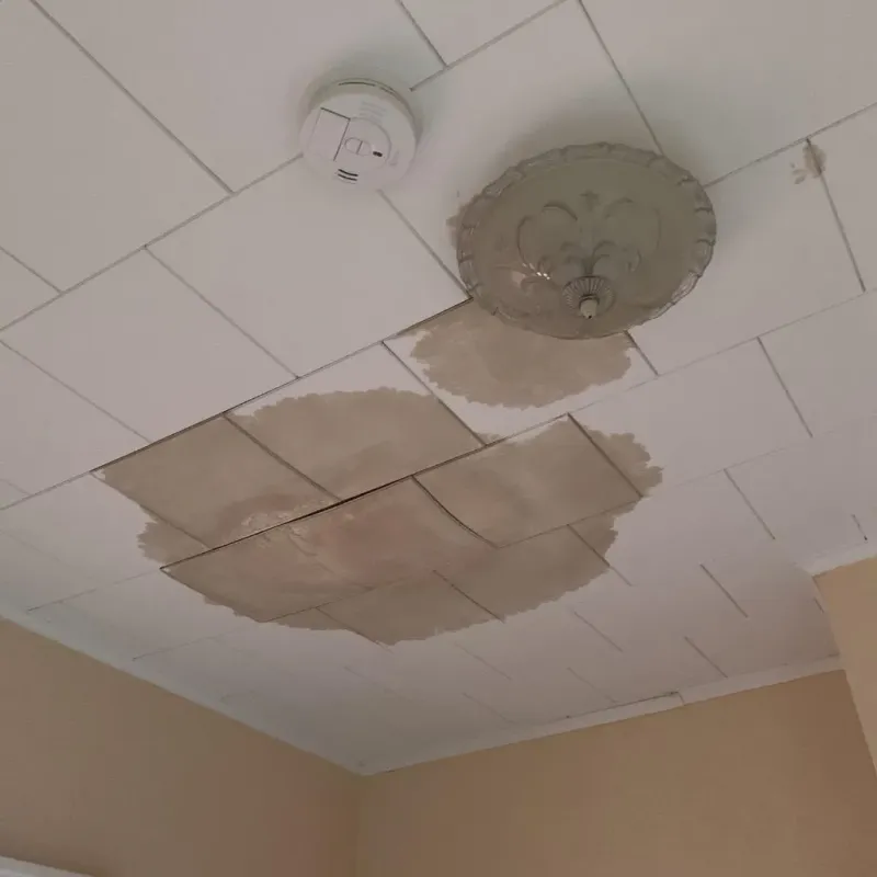 Ceiling Water Damage Repair in Lloyd Harbor, NY